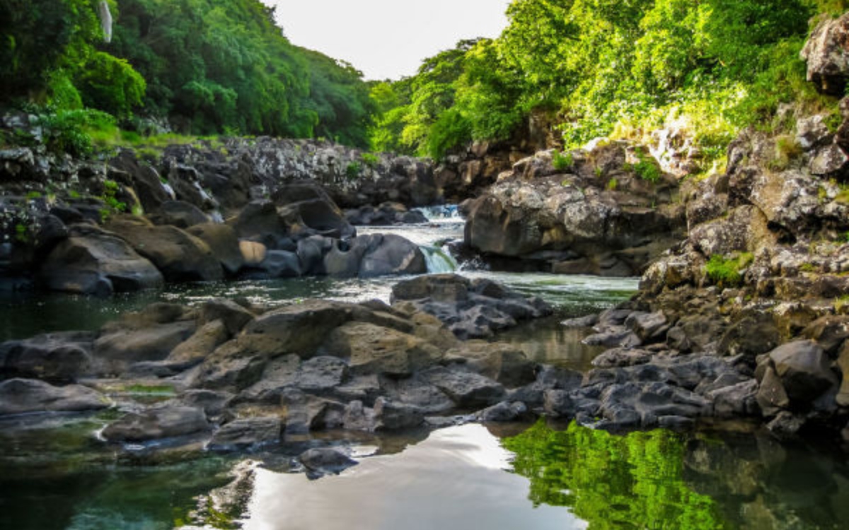 Black River Gorges National Parks