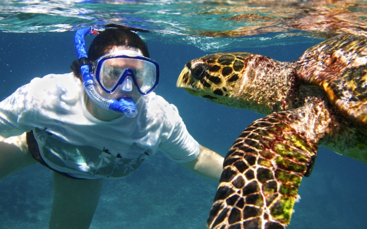 Snorkeling Mauritius