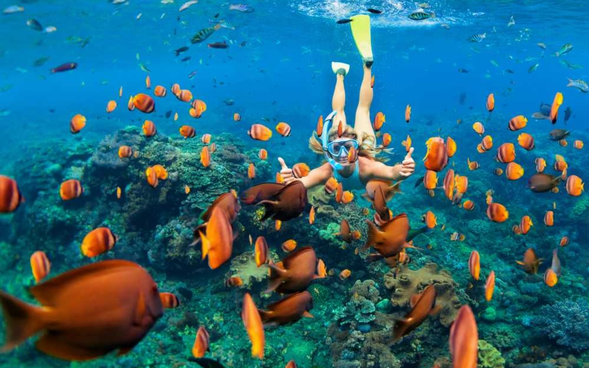 snorkeling in Mauritius